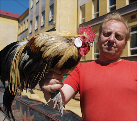 foto